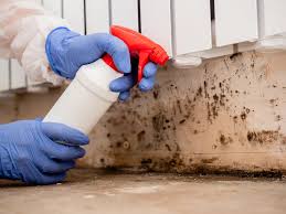 Why You Should Choose Our Mold Remediation Services in Liberty, IN